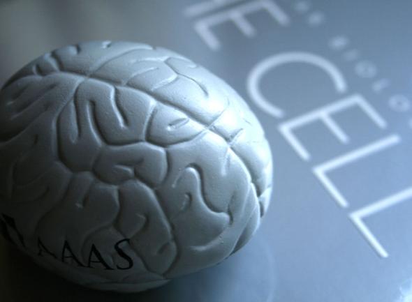 Improve Memory Brain Training