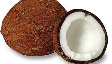 coconuts11