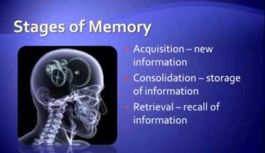 What is Memory