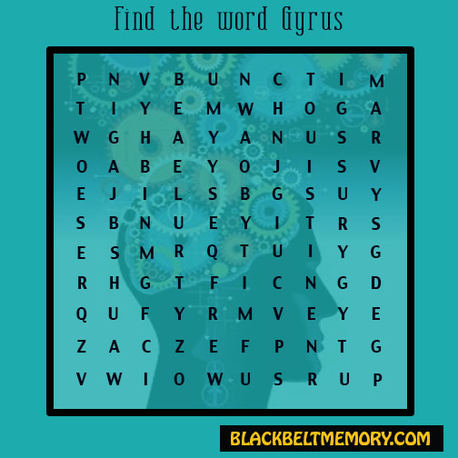 find the word gyrus puzzle