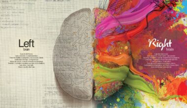 Myth 6 : Left-Brained or Right-Brained