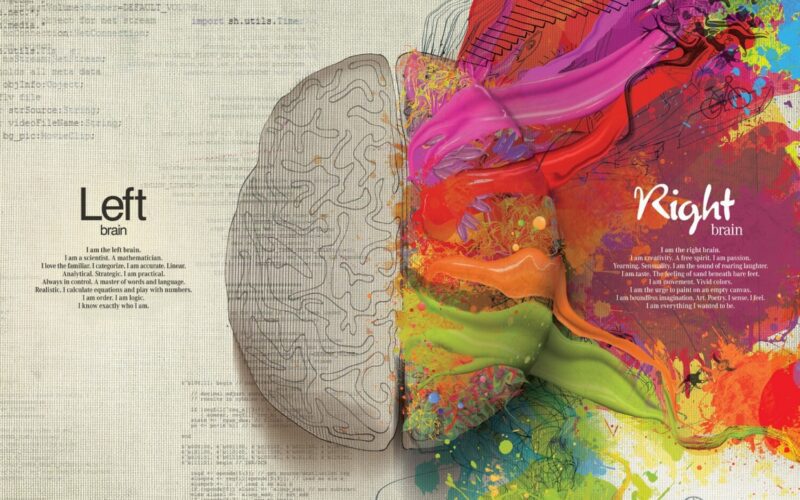 Myth 6 : Left-Brained or Right-Brained