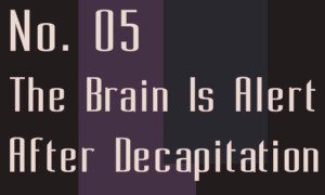 #5 the brain is alert after decapitation