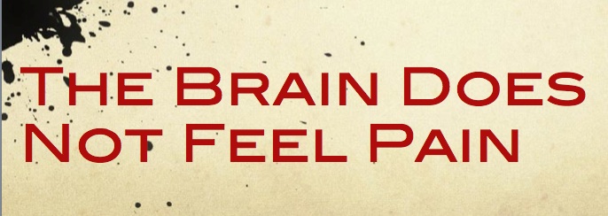 Brain feels no Pain