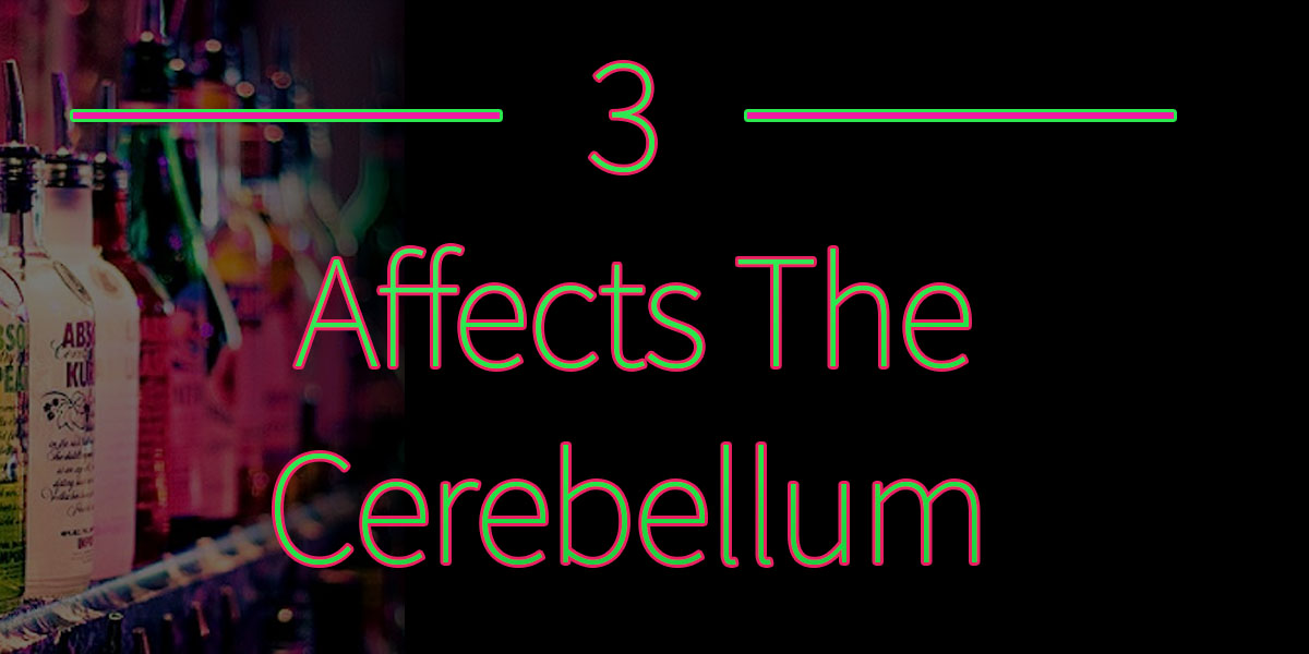 3 cerebellum