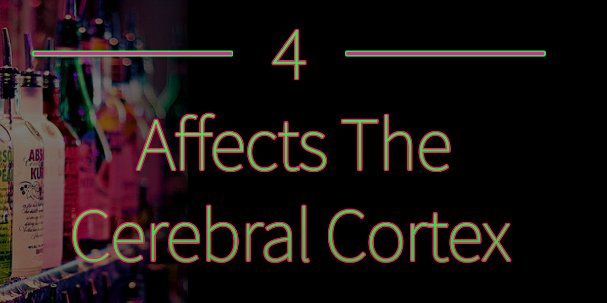 4 cerebral cortex