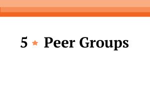 #5 information on peer groups