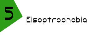 photo of eisoptrophobia
