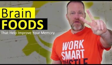 best brain foods for memory